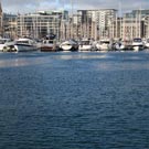 click to view a larger image