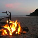 click to view a larger image