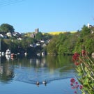 click to view a larger image