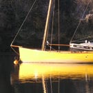 click to view a larger image